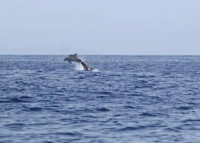 Apartment Casa Eliseos Playa Torrevieja